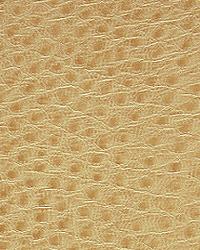 1014 Outback Flax by   