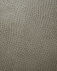 1014 Outback Jasper by   