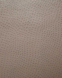 1014 Outback Serene by   