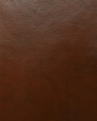 1812 Rodeo Pecan by  Pindler and Pindler 