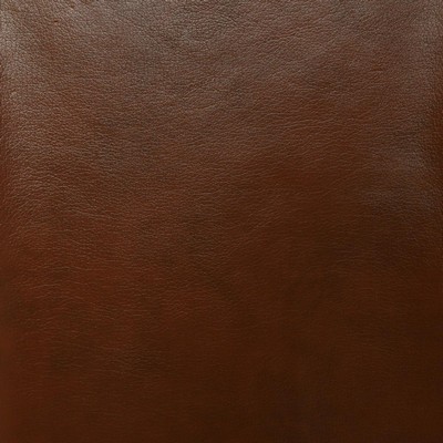 Pindler and Pindler 1812 Rodeo Pecan in may 2022 Brown Upholstery 100%  Blend Solid Brown   Fabric