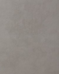 1812 Rodeo Silver by  Pindler and Pindler 