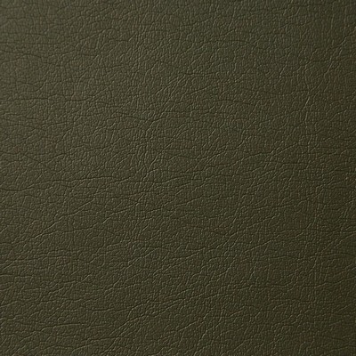 Pindler and Pindler 5454 Supple Loden in Nuleather Upholstery 100%  Blend Fire Rated Fabric High Wear Commercial Upholstery Solid Faux Leather Flame Retardant Vinyl  Solid Color Vinyl Leather Look Vinyl  Fabric