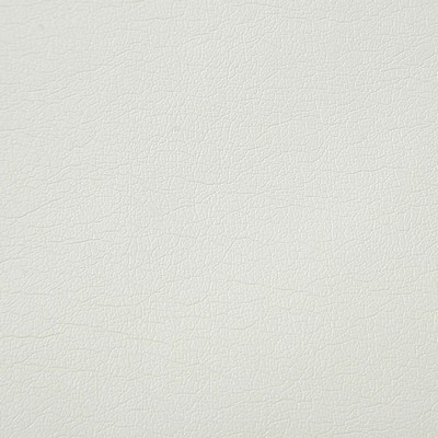 Pindler and Pindler 5454 Supple Mist in Nuleather Grey Upholstery 100%  Blend Fire Rated Fabric High Wear Commercial Upholstery Solid Faux Leather Flame Retardant Vinyl  Solid Color Vinyl Leather Look Vinyl  Fabric
