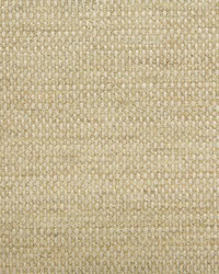 6126 Lucca Sandpiper by   