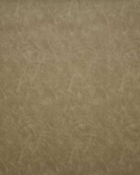 6138 Wrangler Taupe by  Pindler and Pindler 