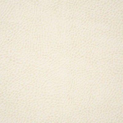 Pindler and Pindler 6139 Buckaroo White in New Frontier White Upholstery 100%  Blend Fire Rated Fabric Solid Faux Leather Flame Retardant Vinyl  Solid White  Leather Look Vinyl  Fabric