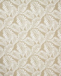 6429 Tropics Hemp by   