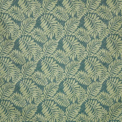 Pindler and Pindler 6429 Tropics Jungle in sunbelievable Green Upholstery SOLUTION  Blend Fire Rated Fabric Tropical  Fun Print Outdoor Floral Outdoor   Fabric