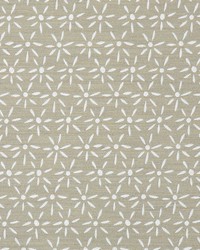 6534 Newport Flax by   