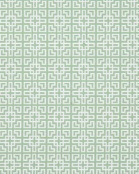 6535 Piermont Palm by   