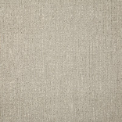 Pindler and Pindler 6914 Barrens Bone in may 2022 Beige Upholstery 100%  Blend Fire Rated Fabric Textures Flame Retardant Vinyl  Solid Beige  Solid Color Vinyl  Fabric