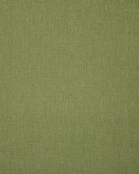 6914 Barrens Pistachio by  Pindler and Pindler 