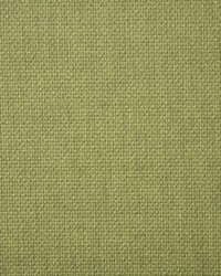 Pindler and Pindler 6915 Auger Pistachio Fabric
