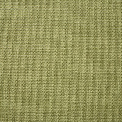 Pindler and Pindler 6915 Auger Pistachio in may 2022 Green Upholstery 100%  Blend Fire Rated Fabric Textures Flame Retardant Vinyl  Weave  Solid Green  Solid Color Vinyl  Fabric