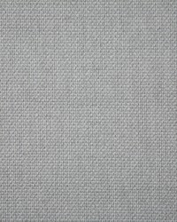 Pindler and Pindler 6915 Auger Silver Fabric