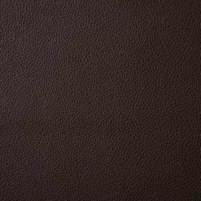 Pindler and Pindler 6916 Ambush Cocoa in may 2022 Brown Upholstery 100%  Blend Fire Rated Fabric Solid Faux Leather Flame Retardant Vinyl  Solid Brown  Solid Color Vinyl Leather Look Vinyl  Fabric