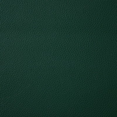 Pindler and Pindler 6916 Ambush Pine in may 2022 Green Upholstery 100%  Blend Fire Rated Fabric Solid Faux Leather Flame Retardant Vinyl  Solid Green  Solid Color Vinyl Leather Look Vinyl  Fabric