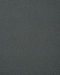 Pindler and Pindler 6917 Shagreen Charcoal Fabric