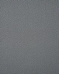 6917 Shagreen Mineral by   