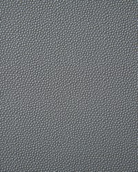 6917 Shagreen Mineral by   