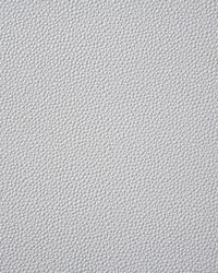 6917 Shagreen Oyster by   