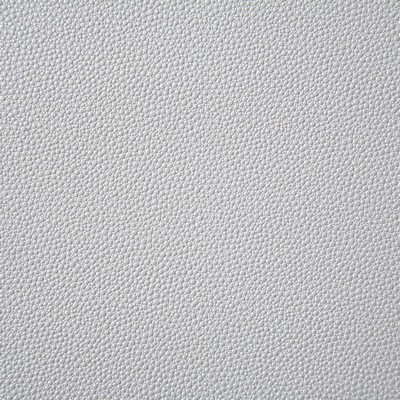 Pindler and Pindler 6917 Shagreen Oyster in may 2022 Beige Upholstery 100%  Blend Fire Rated Fabric Heavy Duty Animal Skin  Textures Flame Retardant Vinyl  Solid Beige  Animal Vinyl  Solid Color Vinyl  Fabric