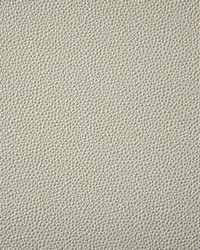 6917 Shagreen Pearl by   