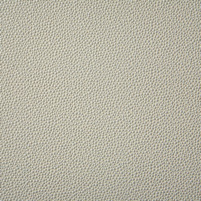 Pindler and Pindler 6917 Shagreen Pearl in may 2022 Beige Upholstery 100%  Blend Fire Rated Fabric Heavy Duty Animal Skin  Textures Flame Retardant Vinyl  Solid Beige  Animal Vinyl  Solid Color Vinyl  Fabric