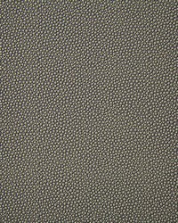 6917 Shagreen Putty by   