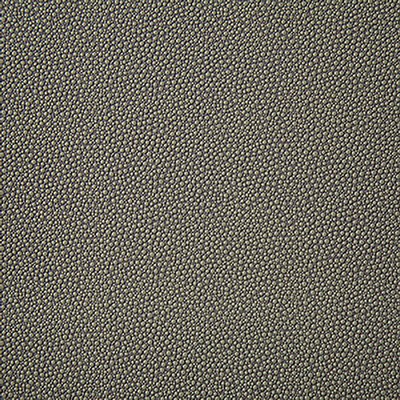 Pindler and Pindler 6917 Shagreen Putty in may 2022 Beige Upholstery 100%  Blend Fire Rated Fabric Heavy Duty Animal Skin  Textures Flame Retardant Vinyl  Solid Beige  Animal Vinyl  Solid Color Vinyl  Fabric