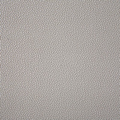 Pindler and Pindler 6917 Shagreen Quartz in may 2022 Grey Upholstery 100%  Blend Fire Rated Fabric Heavy Duty Animal Skin  Textures Flame Retardant Vinyl  Animal Vinyl  Solid Color Vinyl  Fabric