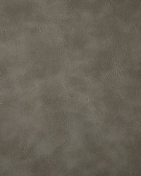 6918 Bandwagon Ash by  Pindler and Pindler 