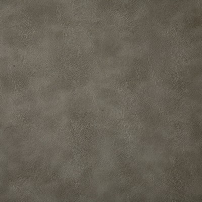Pindler and Pindler 6918 Bandwagon Ash in may 2022 Grey Upholstery 100%  Blend Fire Rated Fabric Heavy Duty Solid Faux Leather Flame Retardant Vinyl  Solid Silver Gray  Leather Look Vinyl  Fabric