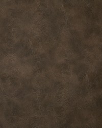 6918 Bandwagon Bark by  Pindler and Pindler 