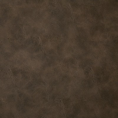 Pindler and Pindler 6918 Bandwagon Bark in may 2022 Brown Upholstery 100%  Blend Fire Rated Fabric Heavy Duty Solid Faux Leather Flame Retardant Vinyl  Leather Look Vinyl  Fabric