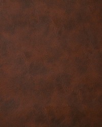 6918 Bandwagon Chestnut by  Pindler and Pindler 