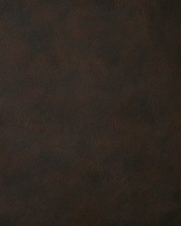 6918 Bandwagon Clove by  Pindler and Pindler 