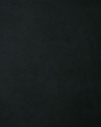 6918 Bandwagon Coal by  Pindler and Pindler 