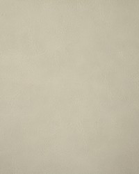 6918 Bandwagon Cream by  Pindler and Pindler 