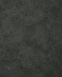 6918 Bandwagon Pewter by  Pindler and Pindler 