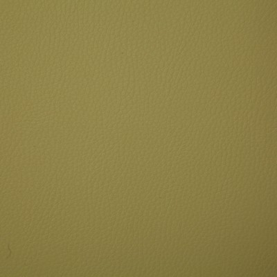 Pindler and Pindler 7224 Sullivan Leaf in may 2022 Green Upholstery 100%  Blend Fire Rated Fabric High Wear Commercial Upholstery Solid Faux Leather Flame Retardant Vinyl  Boat and Automotive Vinyl  Solid Green  Marine and Auto Vinyl Leather Look Vinyl Solid Color Vinyl  Fabric