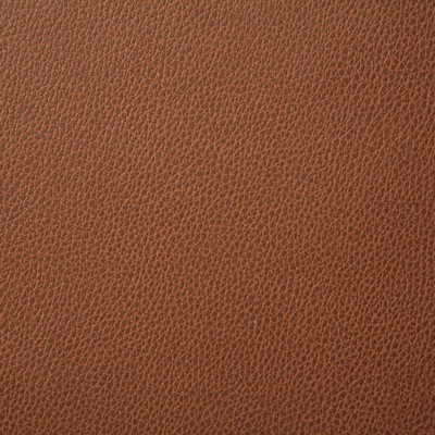 Pindler and Pindler 7225 Sanders Autumn in may 2022 Orange Upholstery 100%  Blend Fire Rated Fabric High Wear Commercial Upholstery Solid Faux Leather Flame Retardant Vinyl  Boat and Automotive Vinyl  Marine and Auto Vinyl Leather Look Vinyl Solid Color Vinyl  Fabric