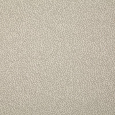 Pindler and Pindler 7225 Sanders Chalk in may 2022 White Upholstery 100%  Blend Fire Rated Fabric High Wear Commercial Upholstery Solid Faux Leather Flame Retardant Vinyl  Boat and Automotive Vinyl  Solid White  Marine and Auto Vinyl Leather Look Vinyl Solid Color Vinyl  Fabric
