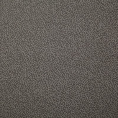 Pindler and Pindler 7225 Sanders Cinder in may 2022 Grey Upholstery 100%  Blend Fire Rated Fabric High Wear Commercial Upholstery Solid Faux Leather Flame Retardant Vinyl  Boat and Automotive Vinyl  Marine and Auto Vinyl Leather Look Vinyl Solid Color Vinyl  Fabric