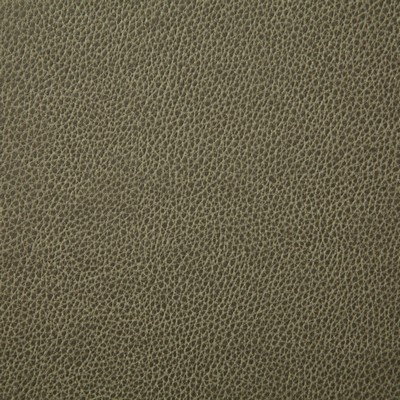 Pindler and Pindler 7225 Sanders Leaf in may 2022 Green Upholstery 100%  Blend Fire Rated Fabric High Wear Commercial Upholstery Solid Faux Leather Flame Retardant Vinyl  Boat and Automotive Vinyl  Solid Green  Marine and Auto Vinyl Leather Look Vinyl Solid Color Vinyl  Fabric
