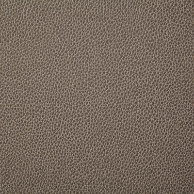 Pindler and Pindler 7225 Sanders Mushroom in may 2022 Brown Upholstery 100%  Blend Fire Rated Fabric High Wear Commercial Upholstery Solid Faux Leather Flame Retardant Vinyl  Boat and Automotive Vinyl  Marine and Auto Vinyl Leather Look Vinyl Solid Color Vinyl  Fabric