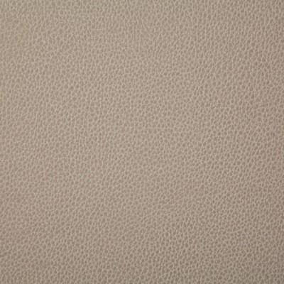 Pindler and Pindler 7225 Sanders Stone in may 2022 Grey Upholstery 100%  Blend Fire Rated Fabric High Wear Commercial Upholstery Solid Faux Leather Flame Retardant Vinyl  Boat and Automotive Vinyl  Solid Silver Gray  Marine and Auto Vinyl Leather Look Vinyl Solid Color Vinyl  Fabric