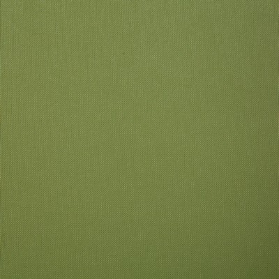 Pindler and Pindler 7227 Maritime Leaf in Marine Vinyl Green Upholstery 100%  Blend Fire Rated Fabric High Wear Commercial Upholstery Boat and Automotive Vinyl  Solid Green  Marine and Auto Vinyl Solid Color Vinyl  Fabric