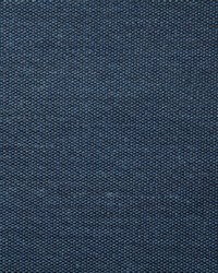 Pindler and Pindler 7316 Clearfield Blueberry Fabric